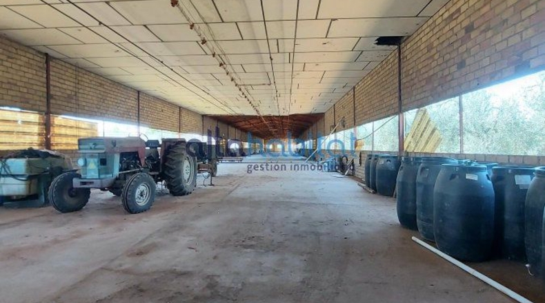 Sevilla - Alcalá de Guadaíra - 8400m2