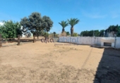 Finca rústica en venda a Alcalá de Guadaíra ref.: TR390635 foto
