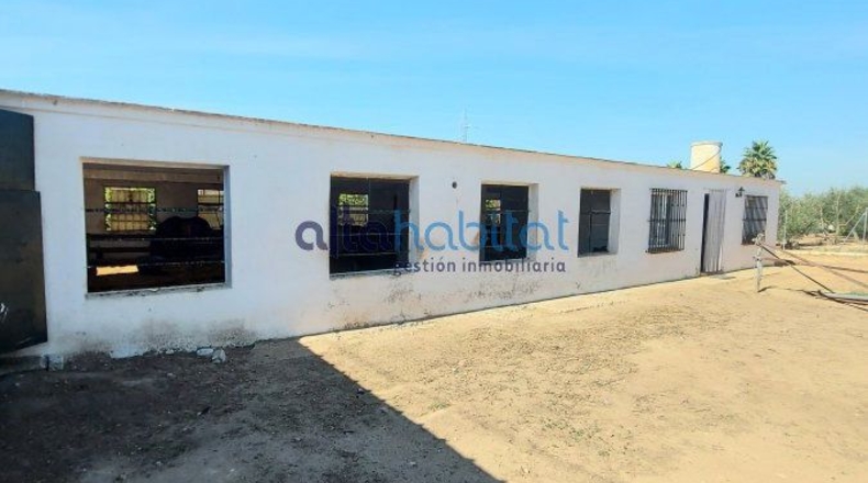 Sevilla - Alcalá de Guadaíra - 8400m2