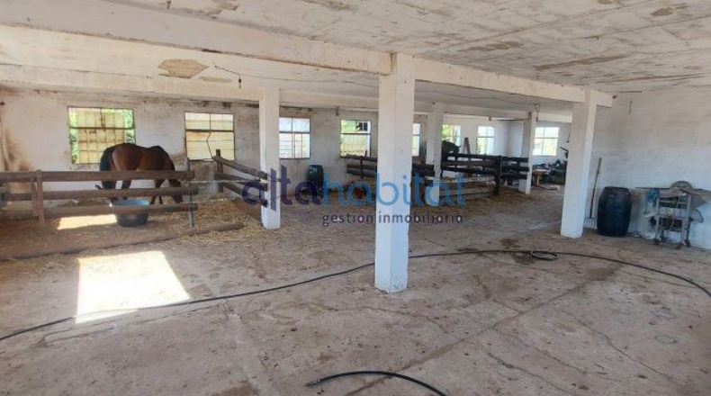Sevilla - Alcalá de Guadaíra - 8400m2