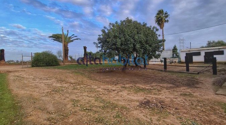 Sevilla - Alcalá de Guadaíra - 8400m2