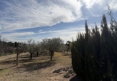 Chalet independiente con terreno en venta en Caudete ref: TR390981 foto