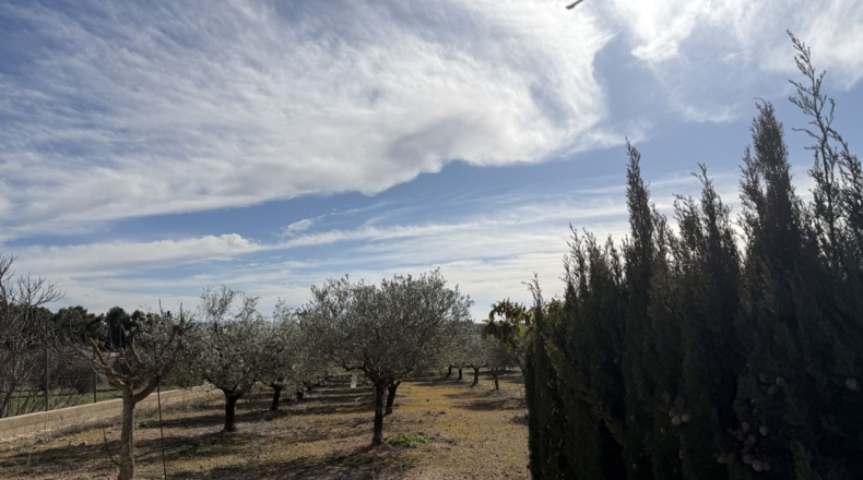 Albacete - Caudete - 3200m2