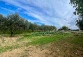 Masia amb terreny en venda a Vilafranca del Penedès ref.: TR390694 foto
