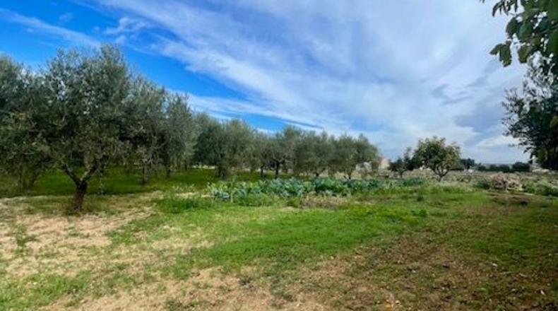 Barcelona - Вилафранка-дель-Пенедес - 18000m2