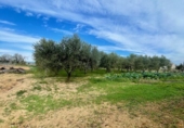 Masia amb terreny en venda a Vilafranca del Penedès ref.: TR390694 foto