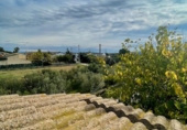Masia amb terreny en venda a Vilafranca del Penedès ref.: TR390694 foto