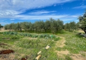 Masia amb terreny en venda a Vilafranca del Penedès ref.: TR390694 foto
