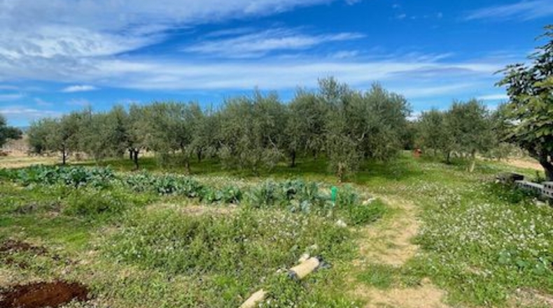 Barcelona - Вилафранка-дель-Пенедес - 18000m2