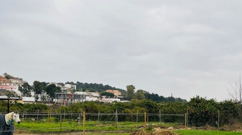 Cadiz - San Roque - 10000m2