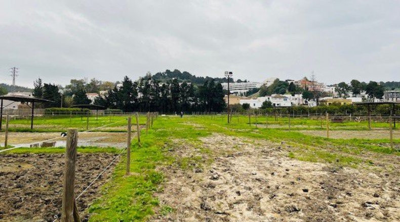 Cadiz - San Roque - 10000m2