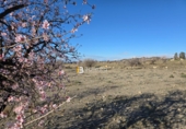 Non-developable land for sale in Huércal-Overa ref: TR390990 photo