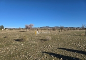 Non-developable land for sale in Huércal-Overa ref: TR390990 photo