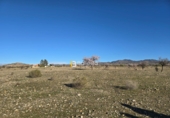 Non-developable land for sale in Huércal-Overa ref: TR390990 photo