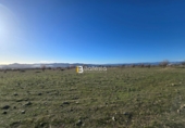 Non-developable land for sale in Huércal-Overa ref: TR390990 photo