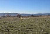 Non-developable land for sale in Huércal-Overa ref: TR390990 photo