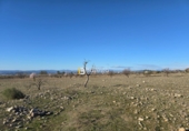Non-developable land for sale in Huércal-Overa ref: TR390990 photo