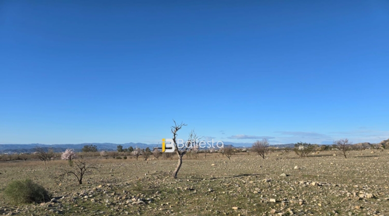 Альмерия - Huércal-Overa - 15044m2