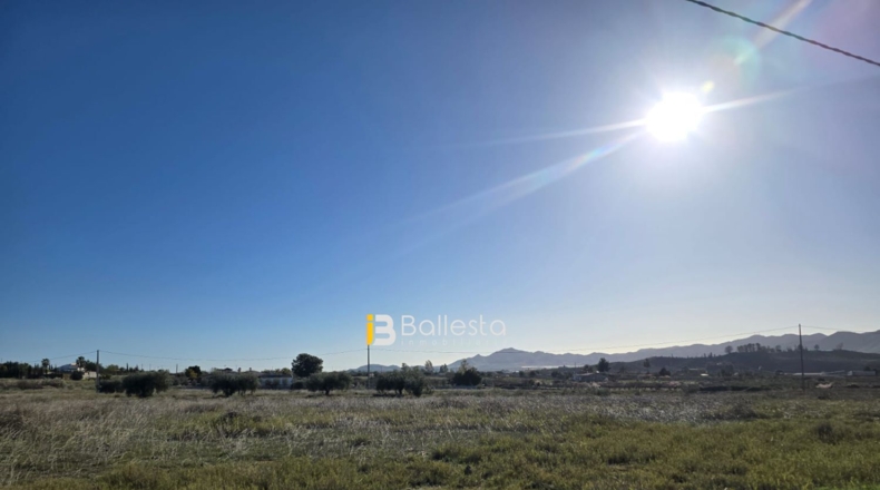Almería - Huércal-Overa - 26547m2