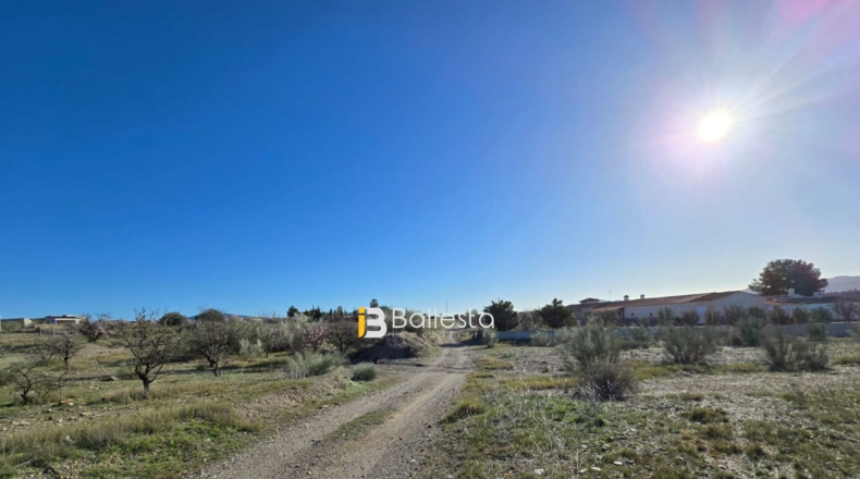 Almería - Huércal-Overa - 26547m2