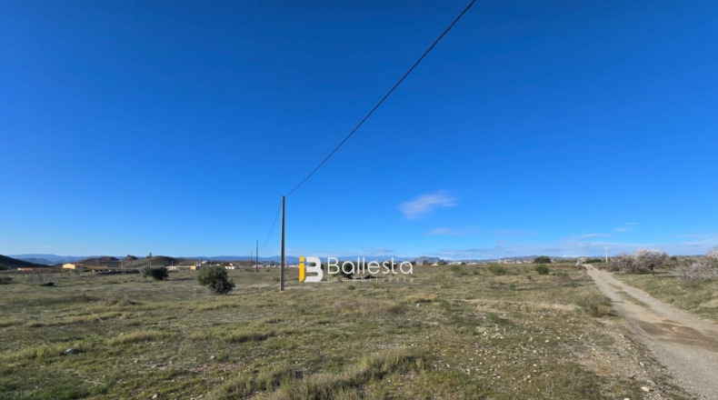 Almería - Huércal-Overa - 26547m2