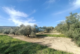 Sabiote 17880&nbsp;м²