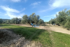 Sabiote 17880&nbsp;м²