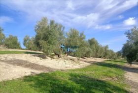 Sabiote 17880&nbsp;м²