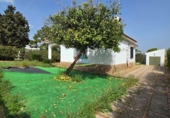 Detached villa with land for sale in Matalascañas ref: TR390813 photo