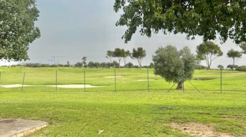 Sevilla - Bormujos - 489m2