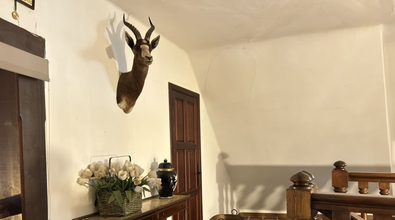 Albacete - Альбасете - 725m2