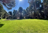 Chalet independiente con terreno en venta en Albacete ref: TR390910 foto