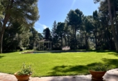 Chalet independiente con terreno en venta en Albacete ref: TR390910 foto