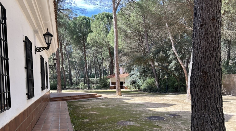 Albacete - Альбасете - 725m2