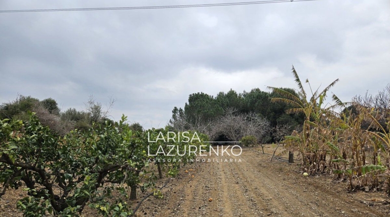 Tarragona - Riudoms - 157m2
