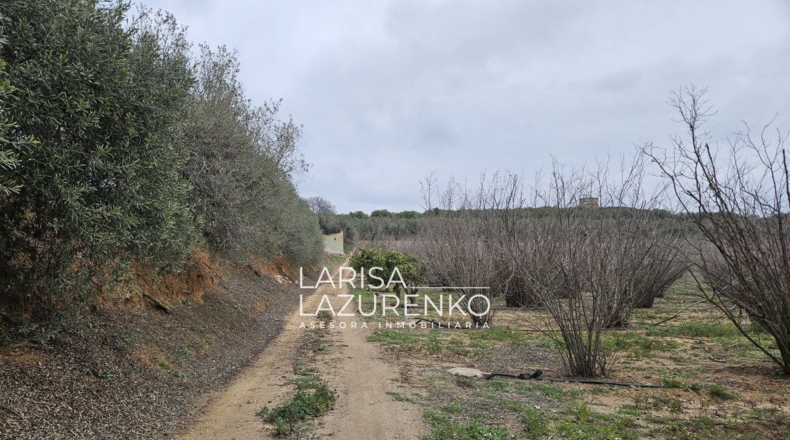 Tarragona - Riudoms - 157m2