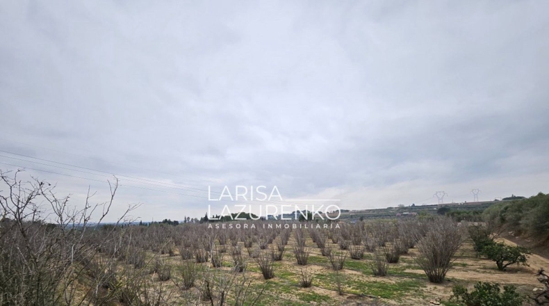 Tarragona - Riudoms - 157m2