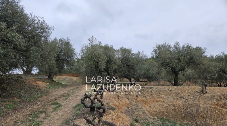 Tarragona - Riudoms - 157m2