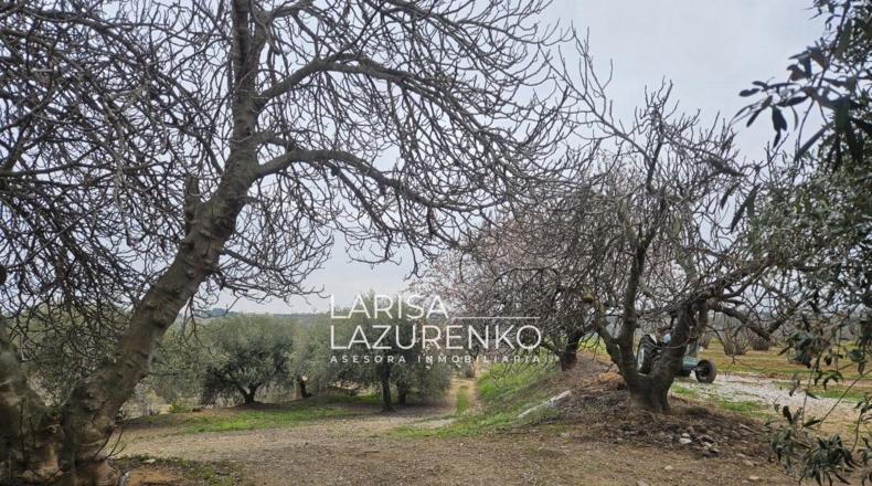 Tarragona - Riudoms - 157m2