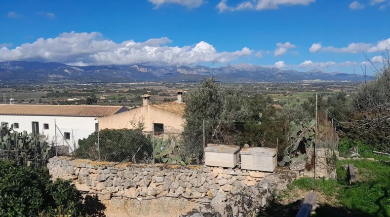 Islas Baleares - Santa Eugènia - 917m2