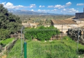 Detached villa with land for sale in Santa Eugènia ref: TR390998 photo