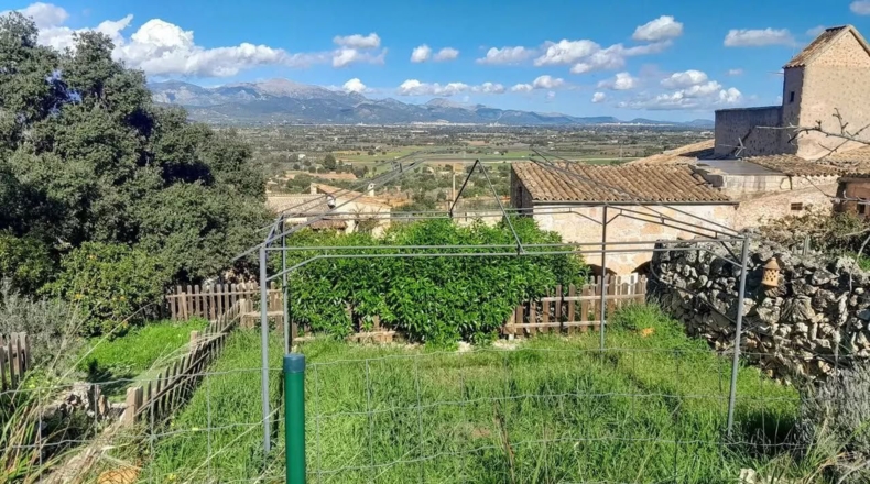 Islas Baleares - Santa Eugènia - 917m2