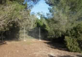 Terreny no urbanitzable en venda a Palma ref.: TR390774 foto