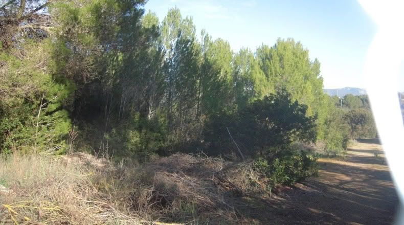 Islas Baleares - Palma - 8200m2