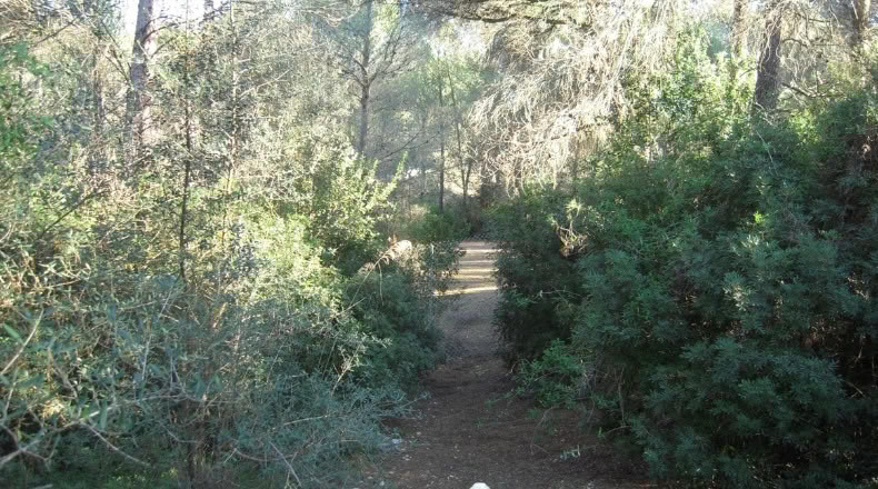 Islas Baleares - Palma - 8200m2