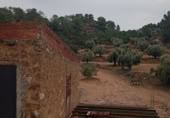 Masia amb terreny en venda a Ascó ref.: TR391433 foto