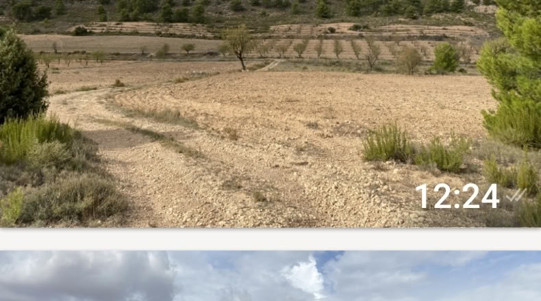 Múrcia - Yecla - 17366m2