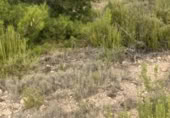 Terreny no urbanitzable en venda a la Carretera MU-15A, Iecla, ref.: TR391432 foto
