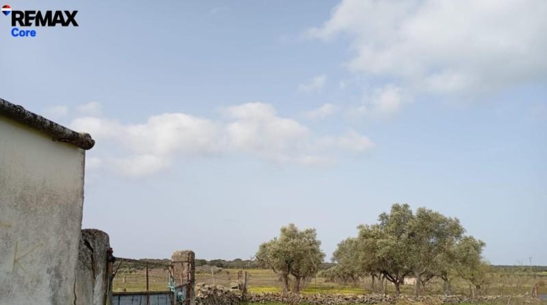 Cáceres - Montánchez - 13000m2