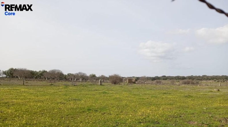 Cáceres - Montánchez - 13000m2